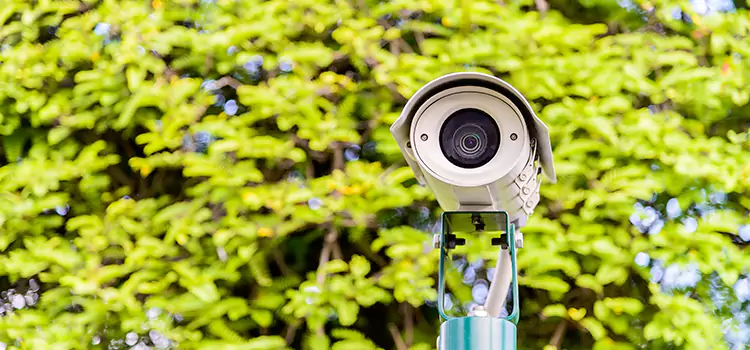Advanced Surveillance Solutions for Every Need in South Gate