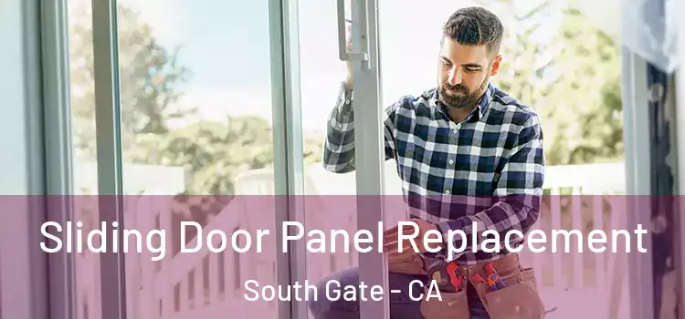  Sliding Door Panel Replacement South Gate - CA